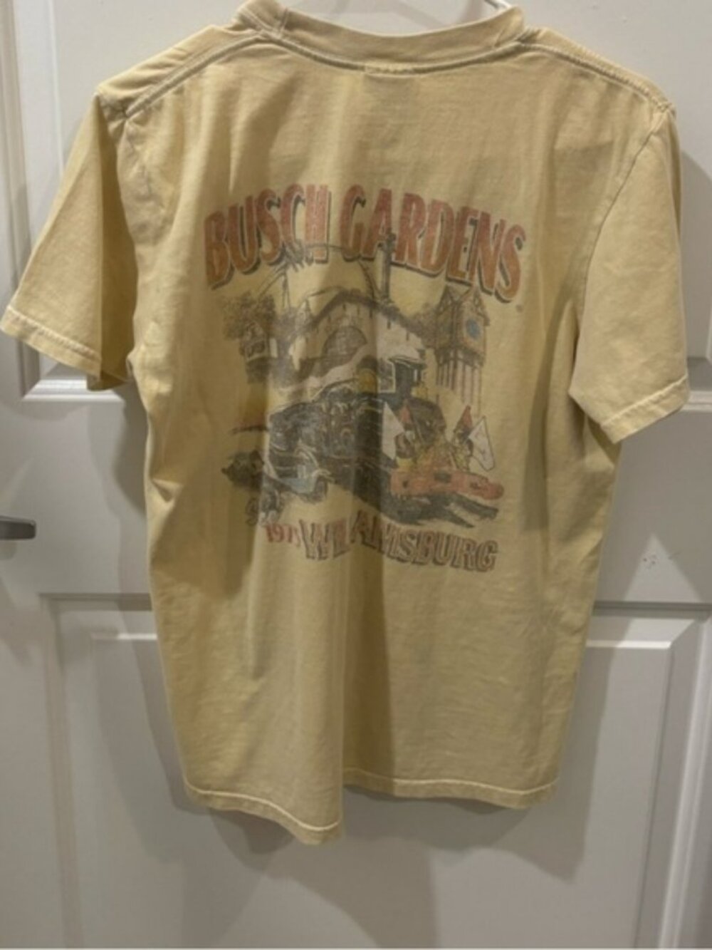 Comfort Colors Graphic Tee